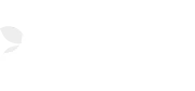 Evolution studio logo, Elitespin online games